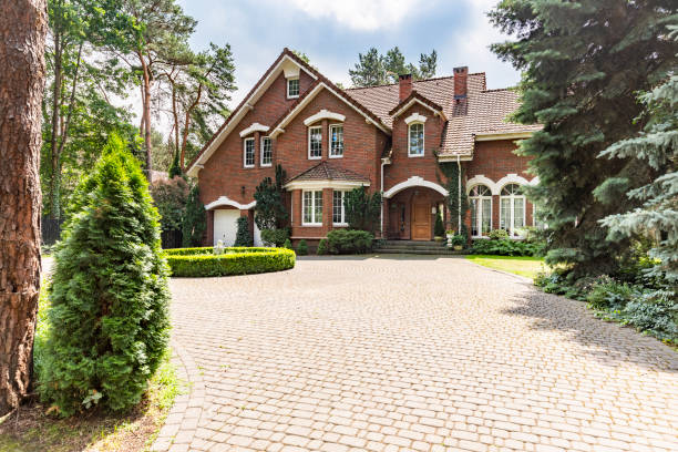 Best Local Driveway Pavers  in Ocoee, FL